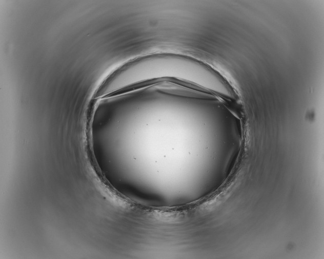 X0000089880976200707262206