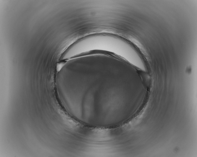 X0000089880977200707262206