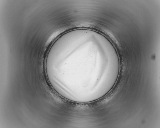 X0000089880978200707262206