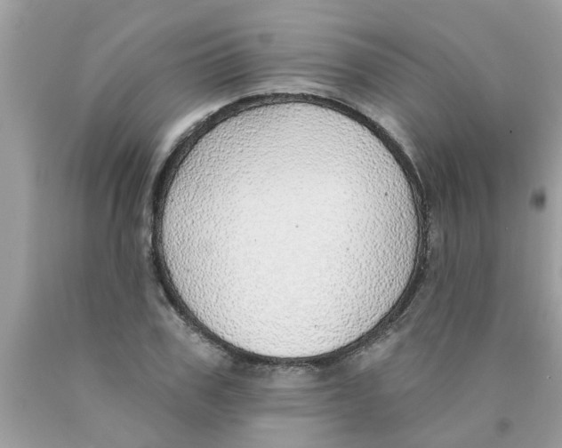 X0000089880979200707262206