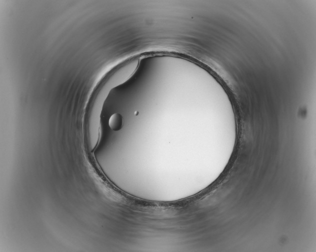 X0000089880980200707262206