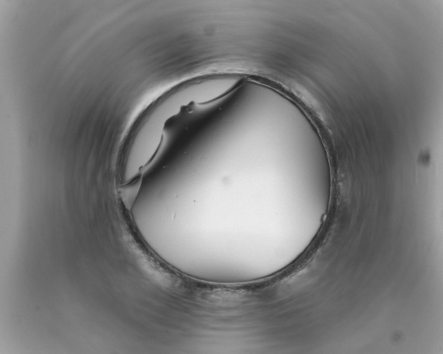 X0000089880981200707262206