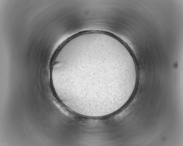 X0000089880982200707262206