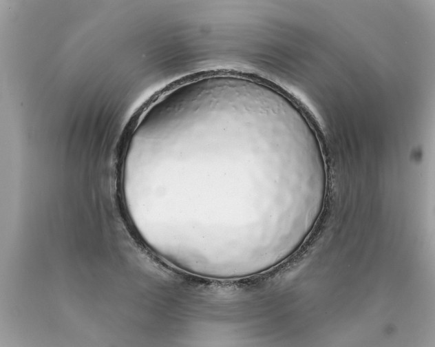 X0000089880983200707262206