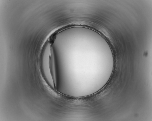 X0000089880984200707262206