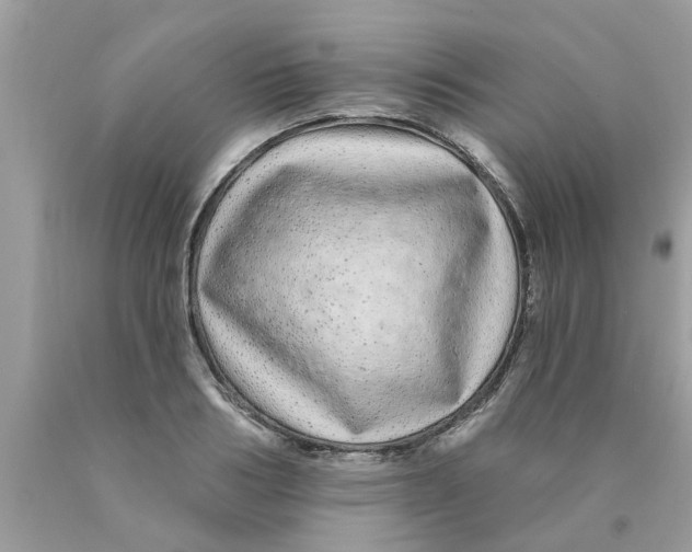 X0000089880986200707262206