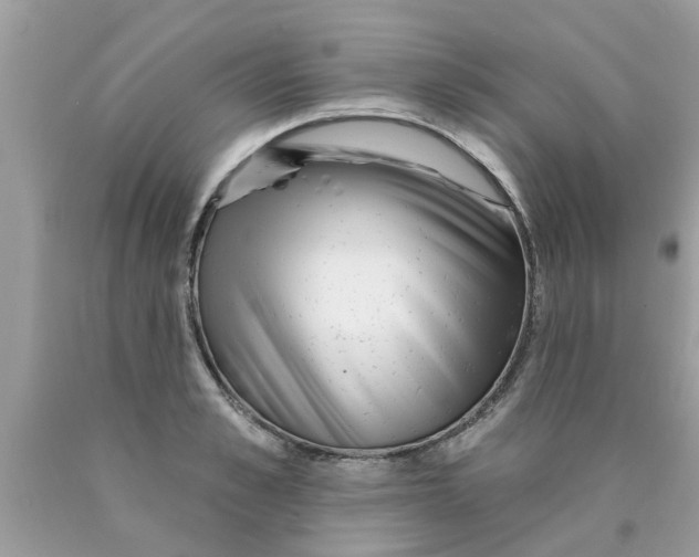 X0000089880989200707262206