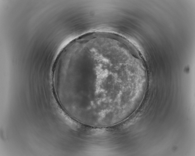 X0000089880990200707262206