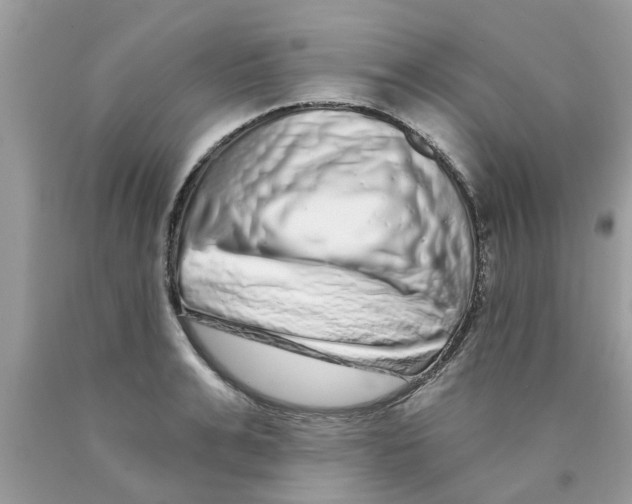 X0000089880991200707262206