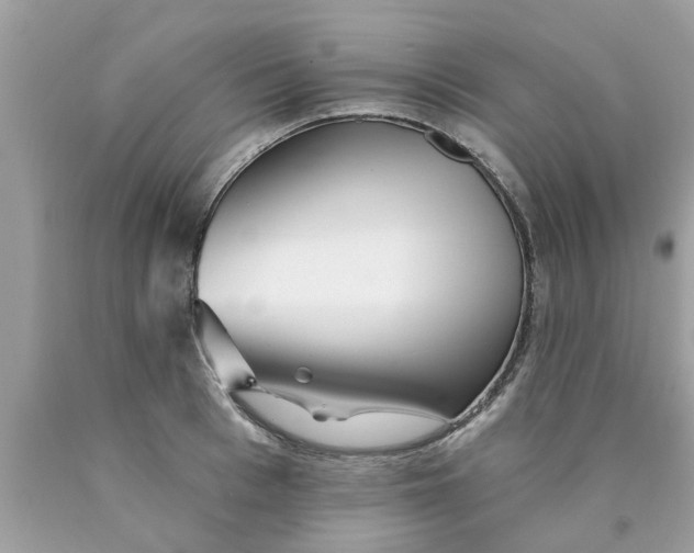 X0000089880993200707262206