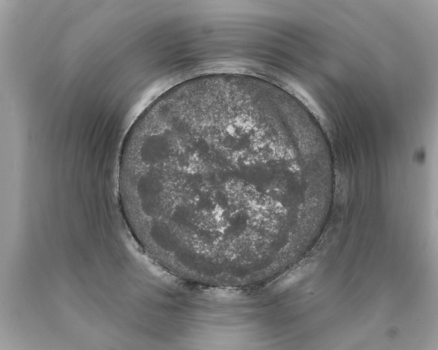 X0000089880994200707262206