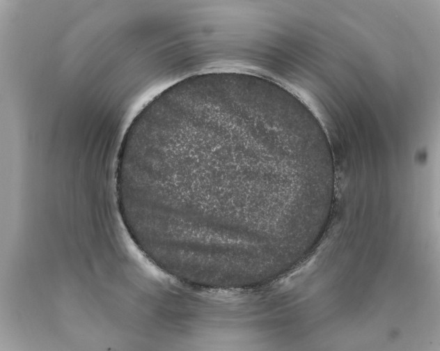 X0000089880995200707262206