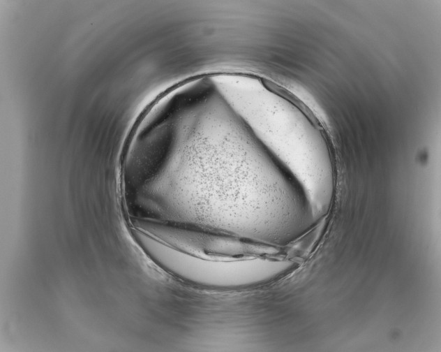 X0000089880996200707262206