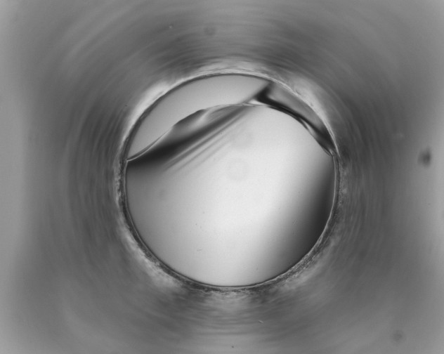 X0000089880997200707262206