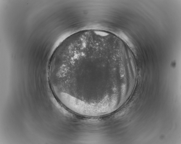 X0000089880998200707262206