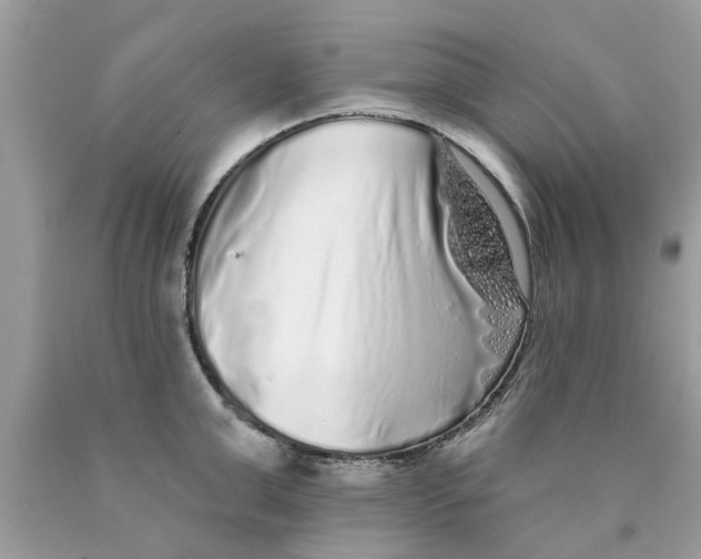 X0000089880999200707262206