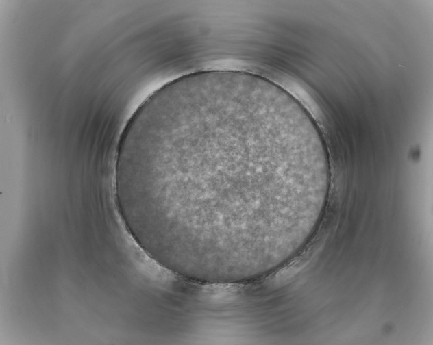 X0000089881000200707262206