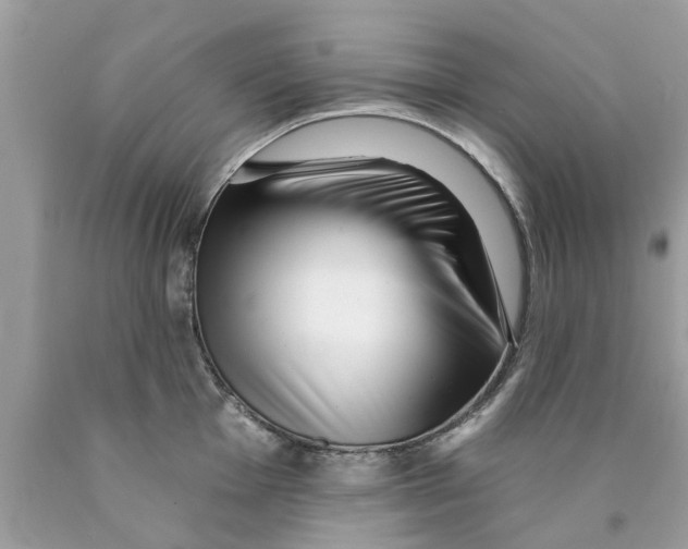 X0000089881001200707262206