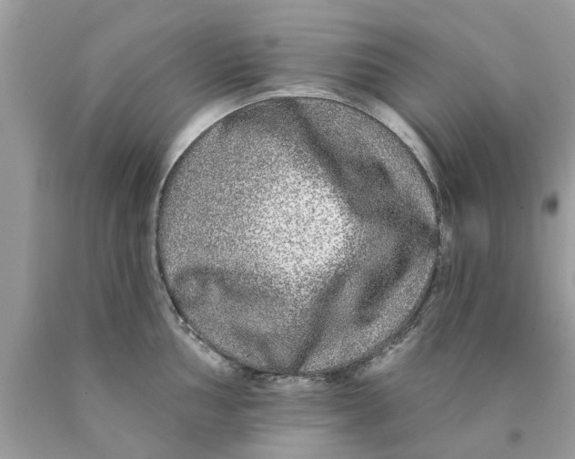 X0000089881002200707262206