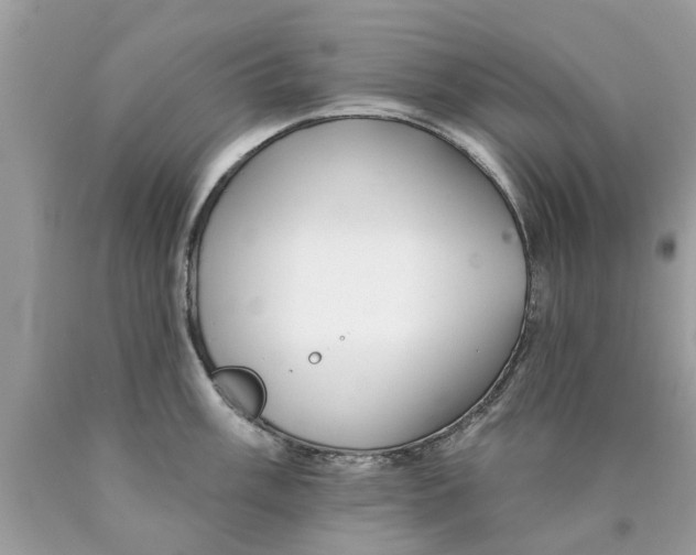 X0000089881003200707262206