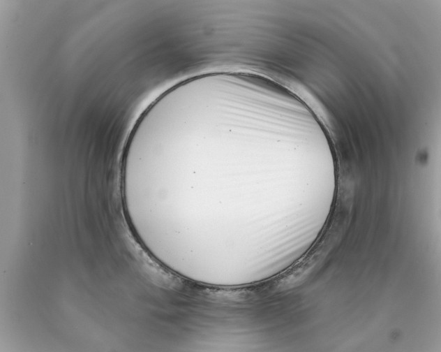 X0000089881004200707262206