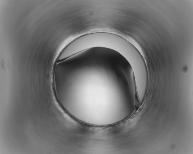 X0000089881005200707262206