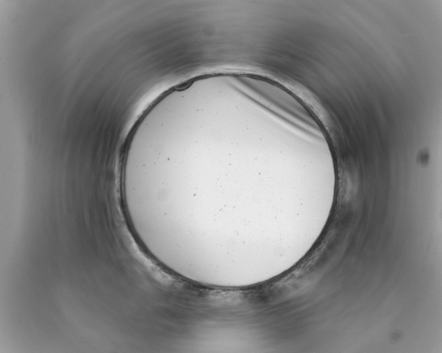 X0000089881006200707262206