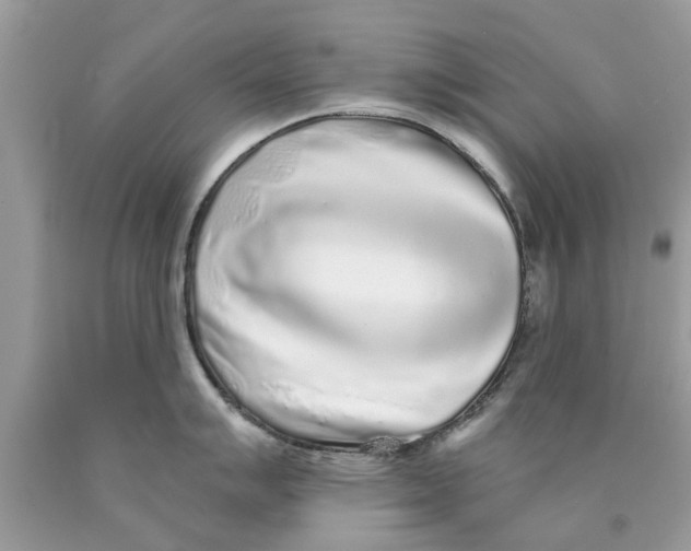 X0000089881007200707262206