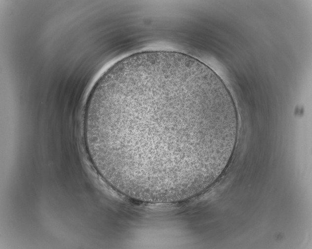 X0000089881008200707262206