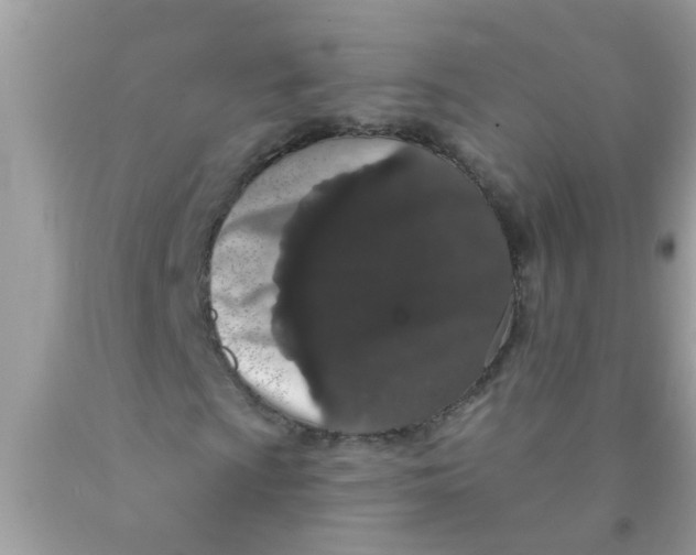 X0000089881009200707262205