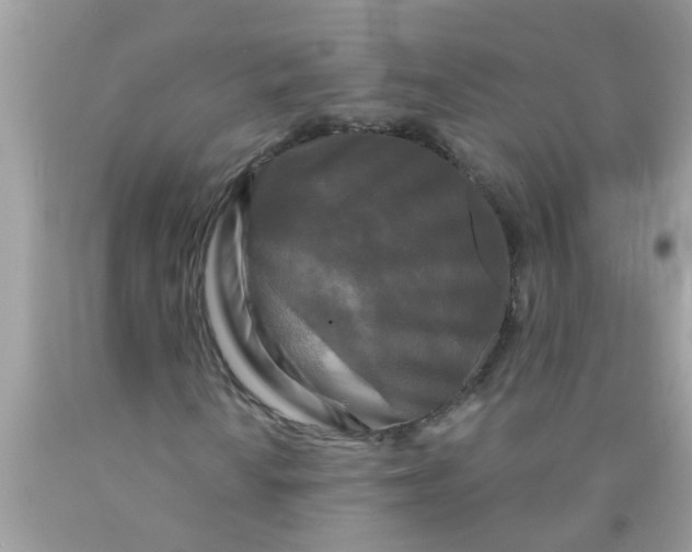 X0000089881010200707262205