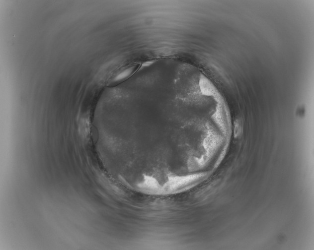 X0000089881011200707262205