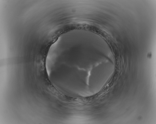 X0000089881013200707262205