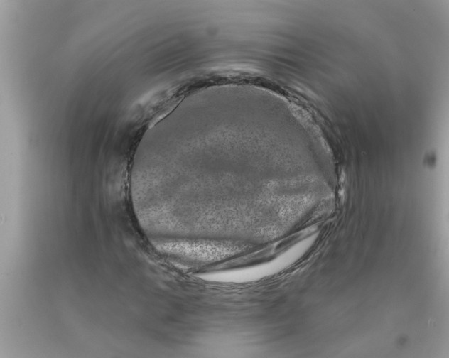 X0000089881014200707262205