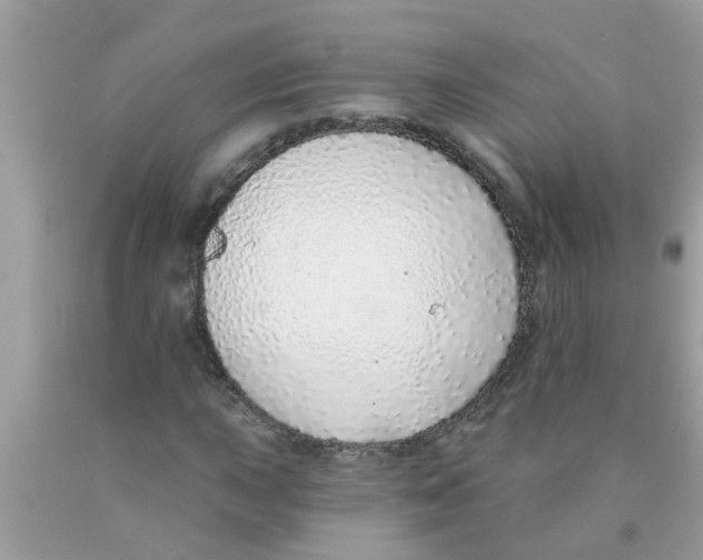 X0000089881015200707262205