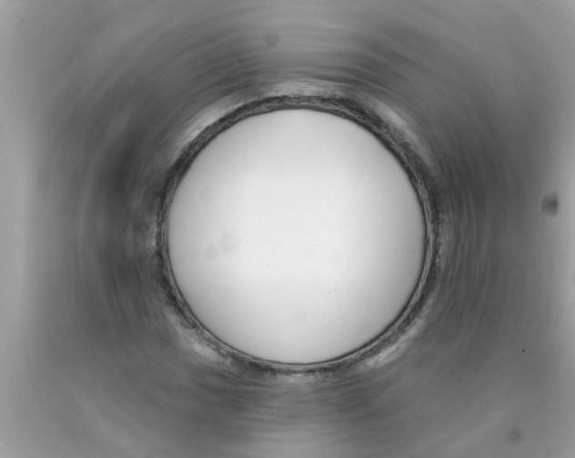 X0000089881017200707262205