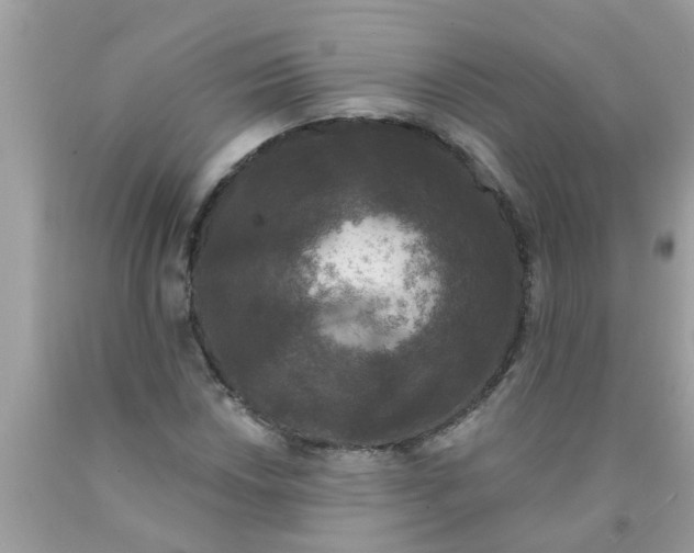 X0000089881018200707262205