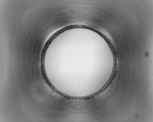 X0000089881020200707262205