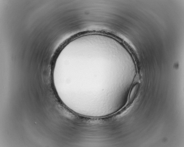 X0000089881021200707262205