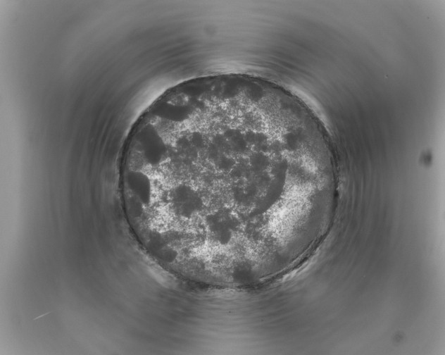 X0000089881023200707262205