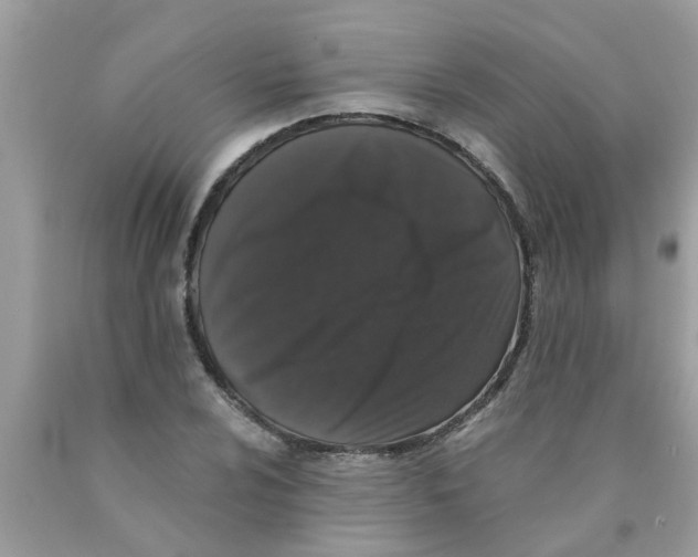 X0000089881024200707262205