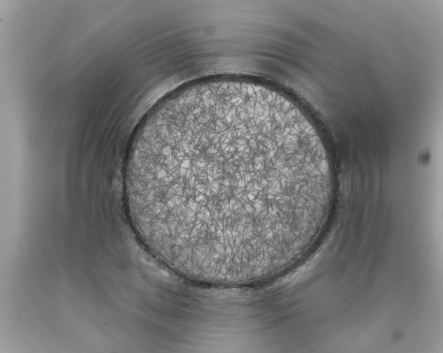 X0000089881025200707262205