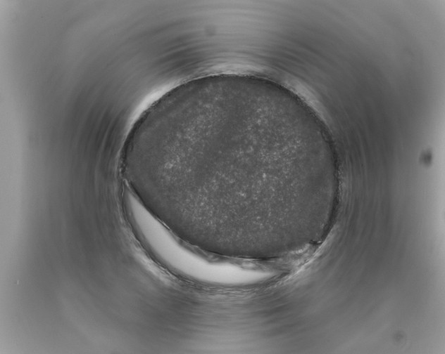 X0000089881026200707262205