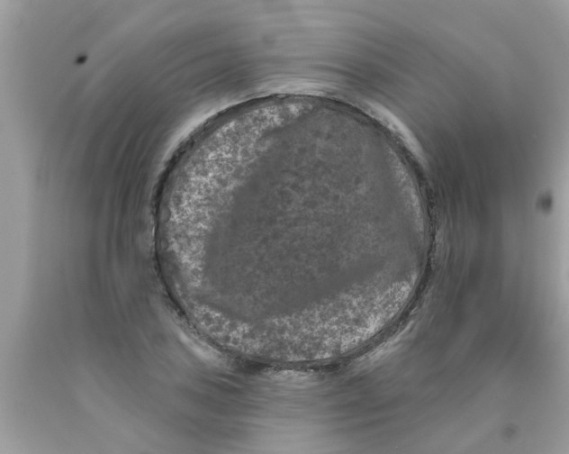 X0000089881027200707262205