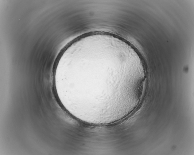 X0000089881028200707262205