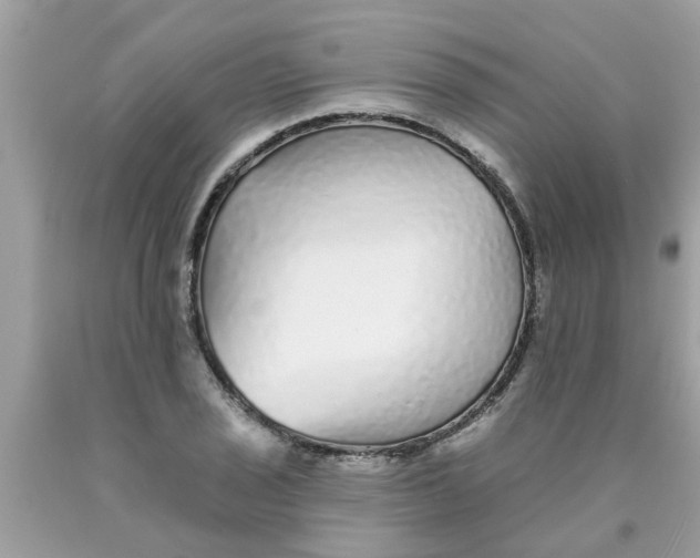 X0000089881029200707262205