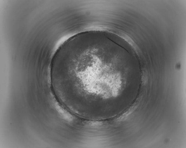 X0000089881030200707262205