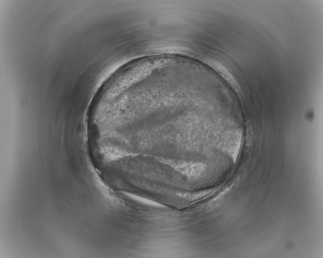 X0000089881031200707262205