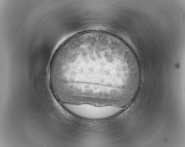 X0000089881032200707262205