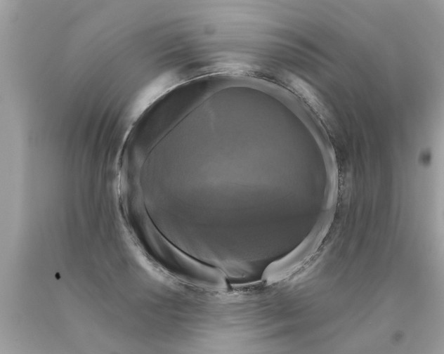 X0000089881034200707262205